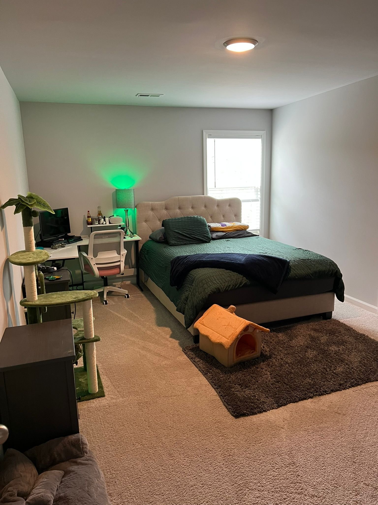 residential cleaning
